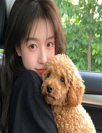 大地西瓜视频在线观看_我叫赵甲第在线播放免费观看_风犬少年的天空在线观看免费